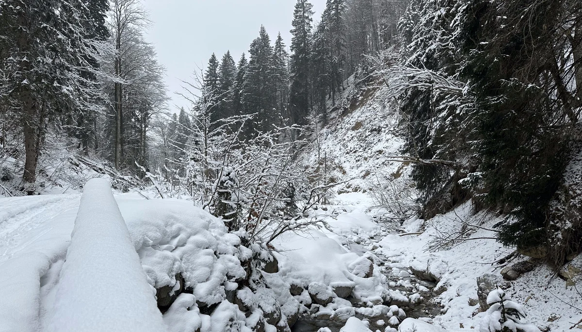 © DAV Schwabach Ortsgruppe Schwanstetten