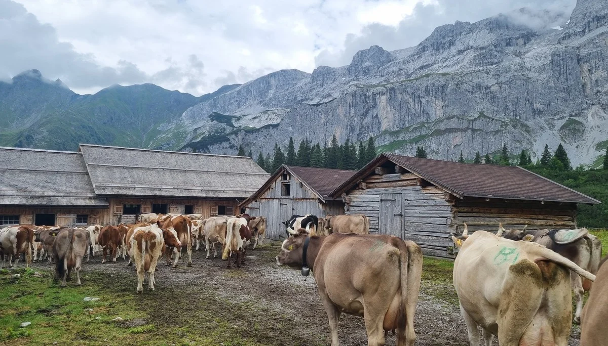 © DAV Schwabach Ortsgruppe Schwanstetten