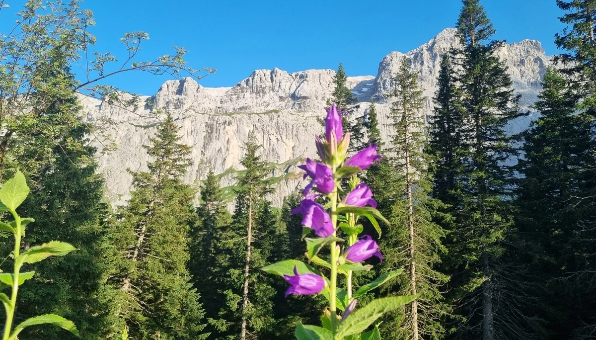 © DAV Schwabach Ortsgruppe Schwanstetten