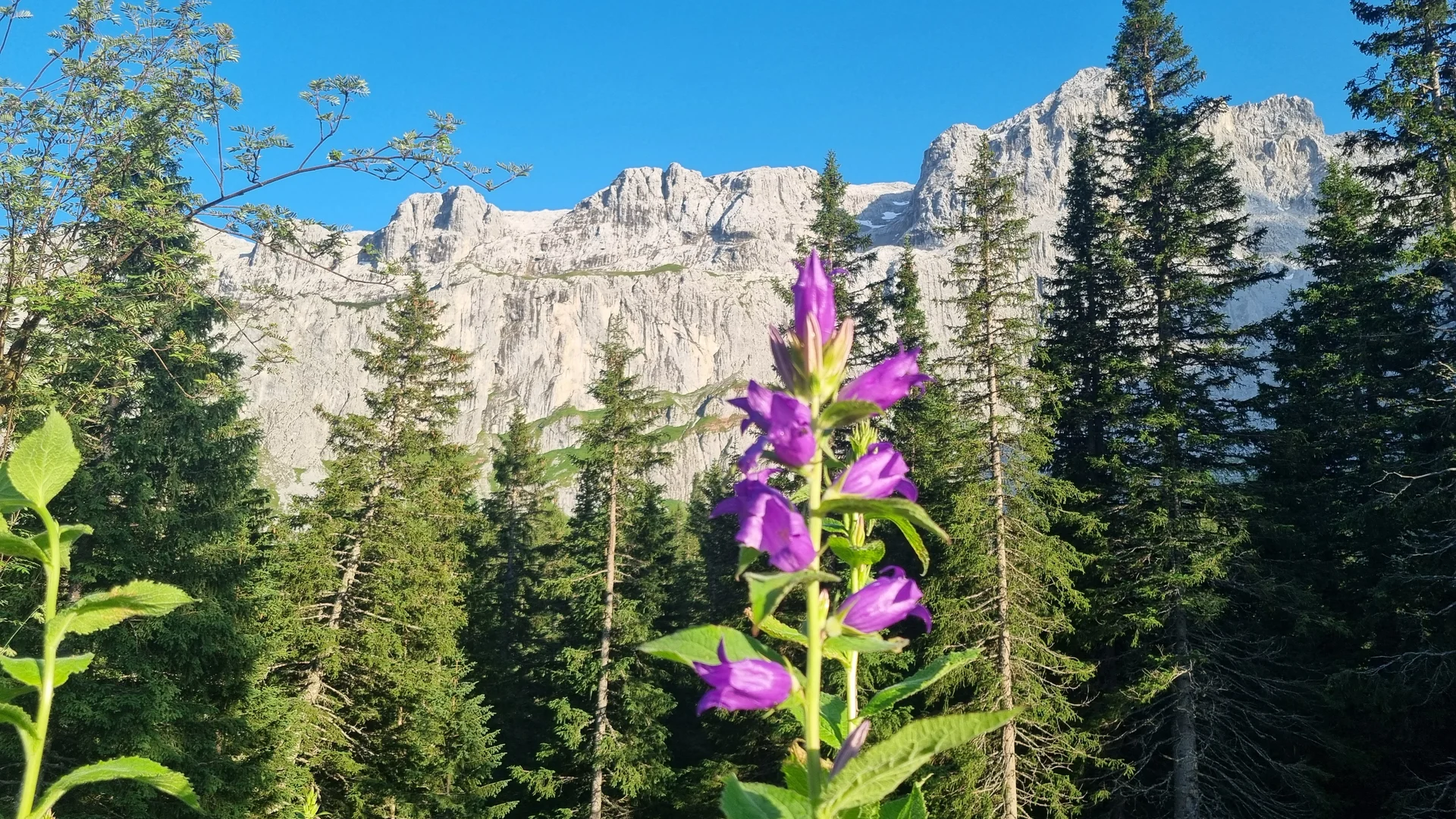 © DAV Schwabach Ortsgruppe Schwanstetten