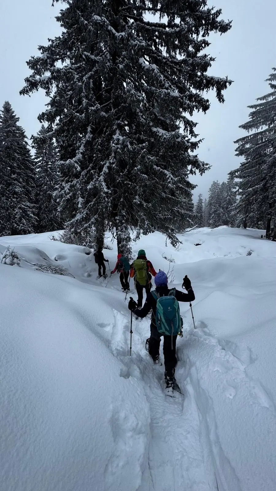 © DAV Ortsgruppe Schwanstetten