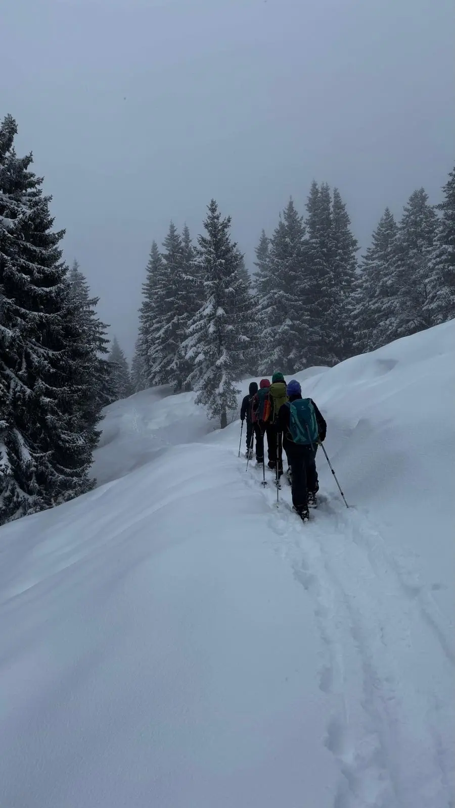 © DAV Ortsgruppe Schwanstetten