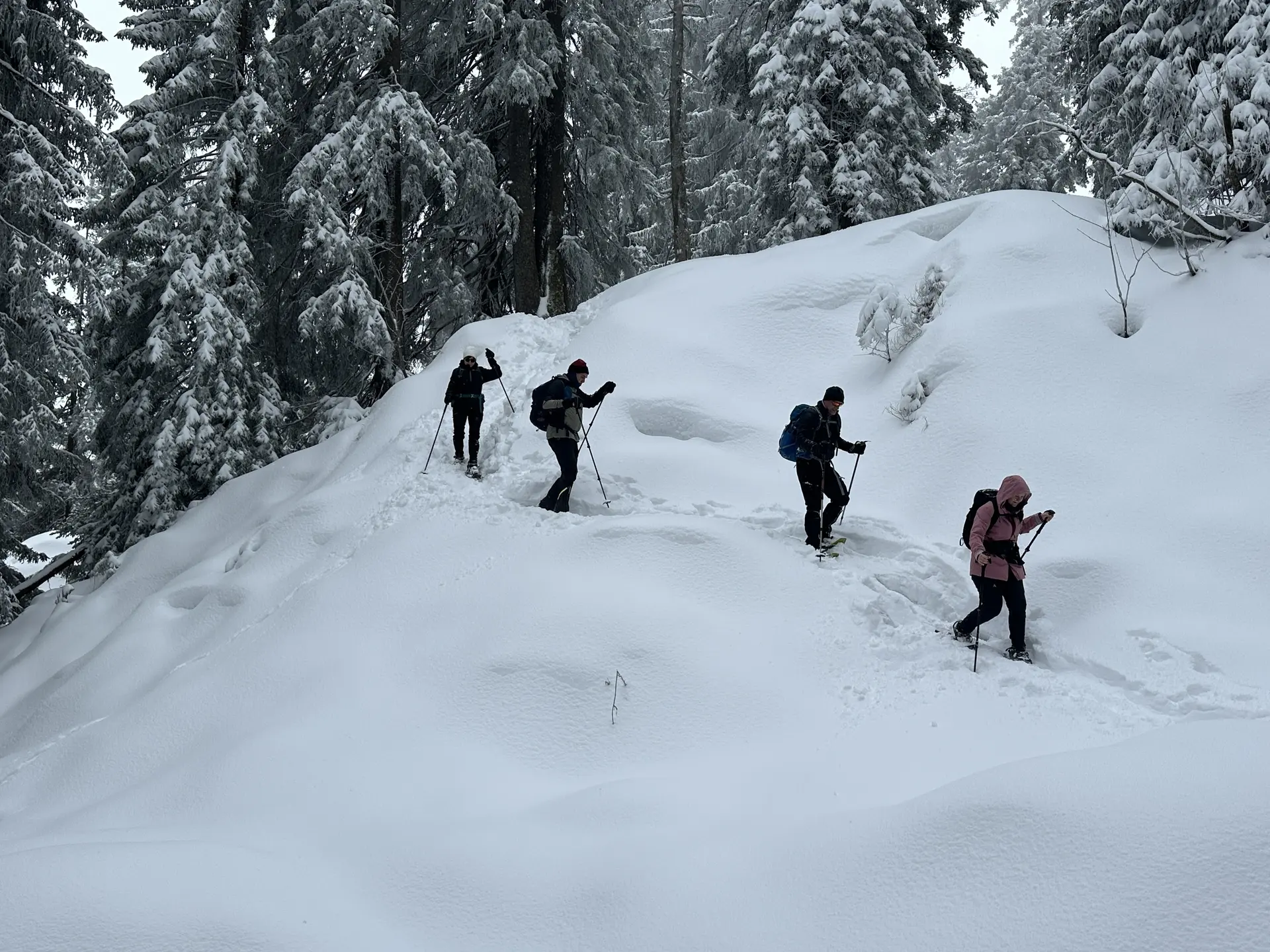 © DAV Ortsgruppe Schwanstetten