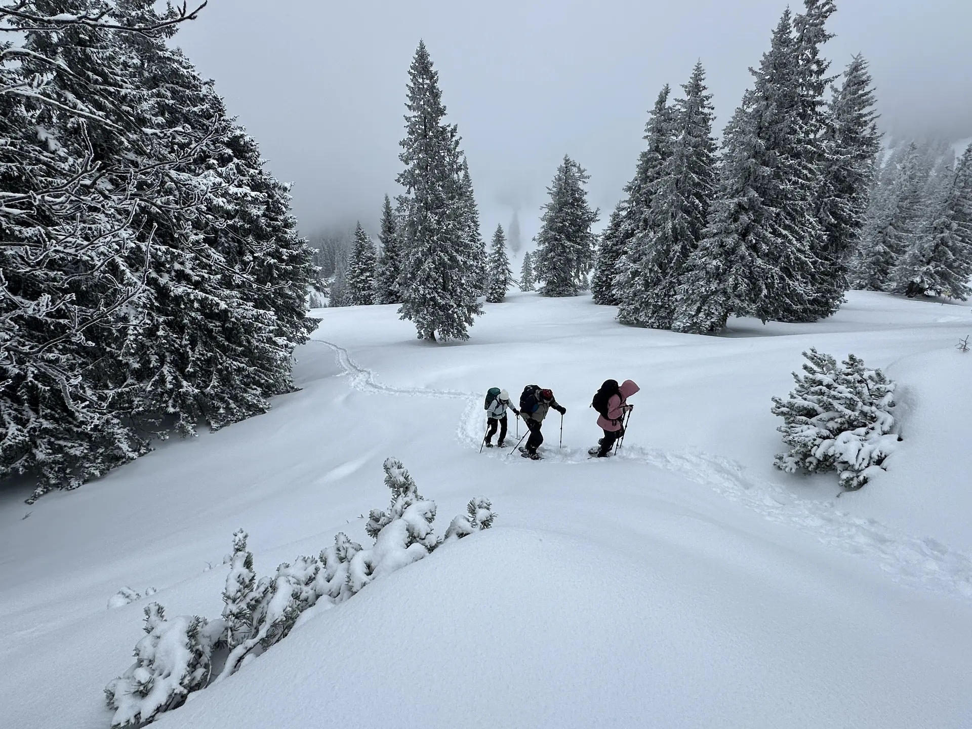 © DAV Ortsgruppe Schwanstetten