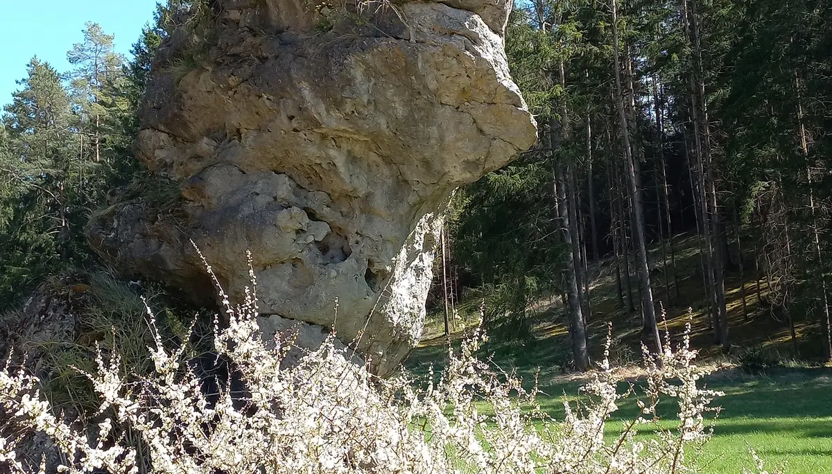 © DAV Schwanstetten