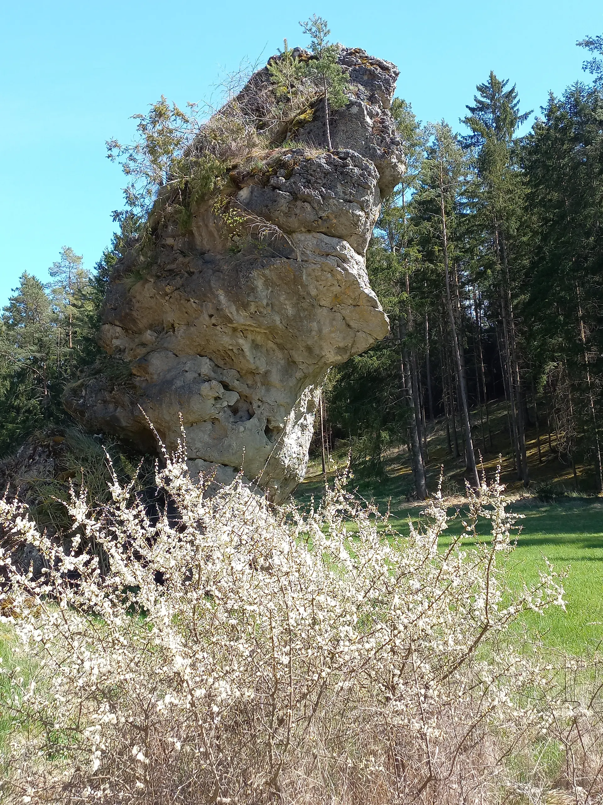 © DAV Schwanstetten