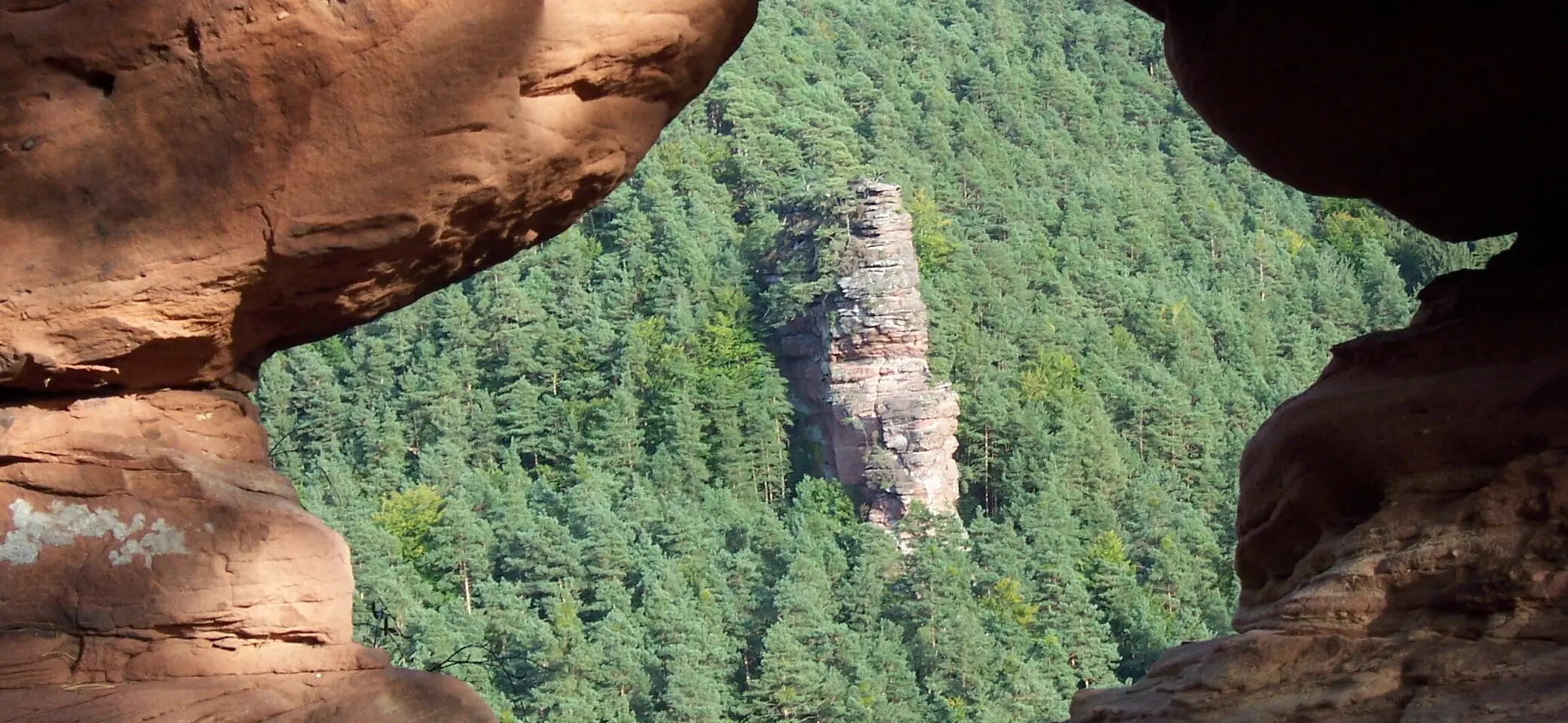 Blick über ein Loch im Feld auf den Glasfelsen im Pfälzerwald. | © DAV/Markus Maier
