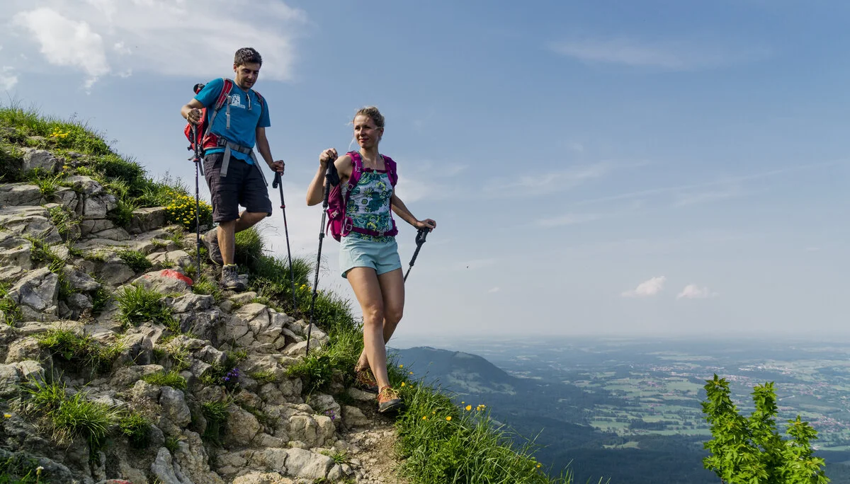 Abstieg: Zwei Wanderer auf den grünen Berghängen der Chiemgauer Alpen | © DAV/Hans Herbig